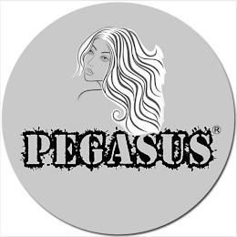 PEGASUS