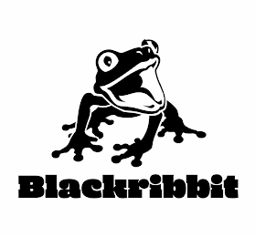 BLACKRIBBIT