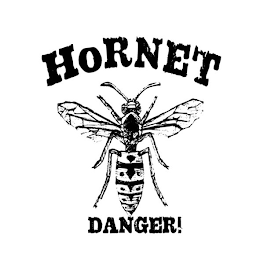 HORNET DANGER!