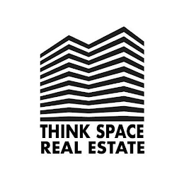 THINK SPACE REAL ESTATE