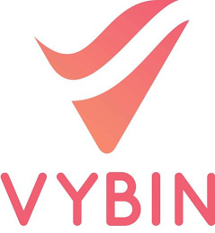 VYBIN