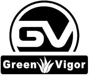 GV GREEN VIGOR