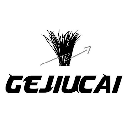 GEJIUCAI