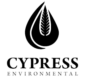 CYPRESS ENVIRONMENTAL