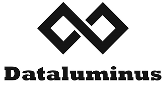 DATALUMINUS