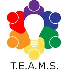 T.E.A.M.S