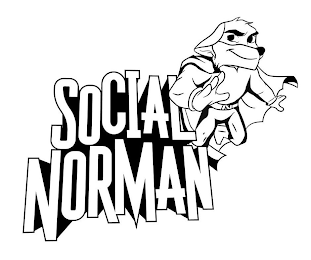 SOCIAL NORMAN N