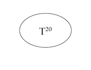 T20