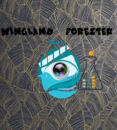 WINGLAND FORESTER