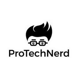 PROTECHNERD