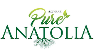 BOYRAZ PURE ANATOLIA