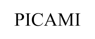 PICAMI