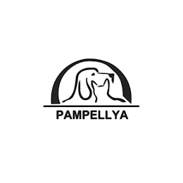 PAMPELLYA