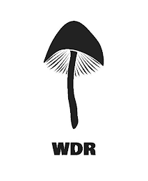 WDR