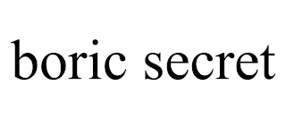 BORIC SECRET