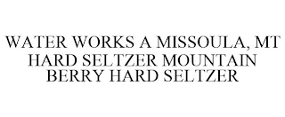 WATER WORKS A MISSOULA, MT HARD SELTZERMOUNTAIN BERRY HARD SELTZER