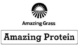 AMAZING GRASS AMAZING PROTEIN