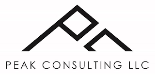 PEAK CONSULTING LLC