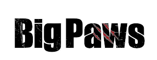 BIG PAWS