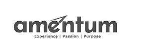 AMENTUM EXPERIENCE | PASSION | PURPOSE