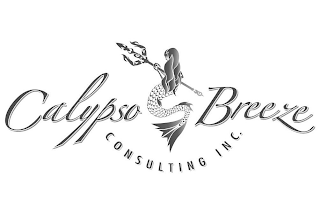 CALYPSO BREEZE CONSULTING INC.