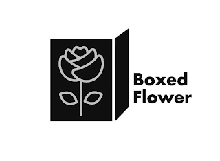 BOXED FLOWER