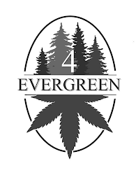 4 EVERGREEN