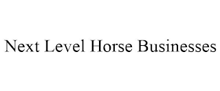 NEXT LEVEL HORSE BUSINESSES