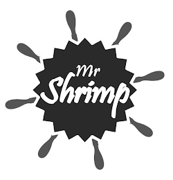 MR SHRIMP