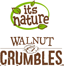 IT'S NATURE WALNUT CRUMBLES