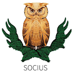 SOCIUS