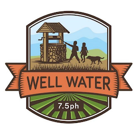 WELL WATER 7.5 PH