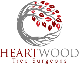 HEARTWOOD TREE SURGEONS