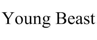 YOUNG BEAST