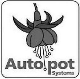 AUTO POT SYSTEMS