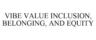 VIBE VALUE INCLUSION, BELONGING, AND EQUITY