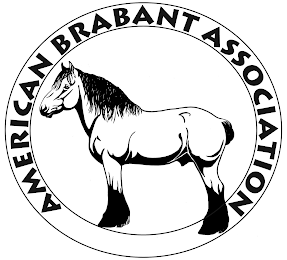 AMERICAN BRABANT ASSOCIATION