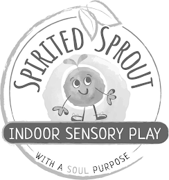 SPIRITED SPROUT INDOOR SENSORY PLAY WITH A SOUL PURPOSE