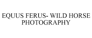 EQUUS FERUS- WILD HORSE PHOTOGRAPHY