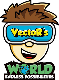 VECTOR'S WORLD ENDLESS POSSIBILITIES