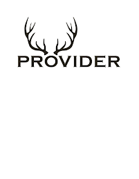 PROVIDER