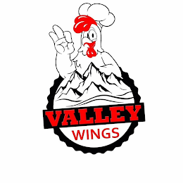 VALLEY WINGS