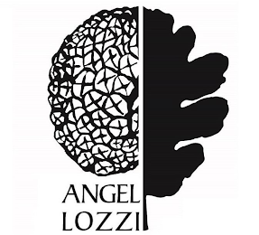 ANGEL LOZZI