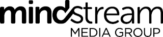 MINDSTREAM MEDIA GROUP