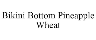 BIKINI BOTTOM PINEAPPLE WHEAT