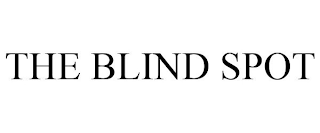 THE BLIND SPOT