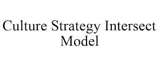 CULTURE STRATEGY INTERSECT MODEL