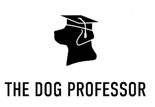 THE DOG PROFESSOR