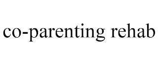 CO-PARENTING REHAB