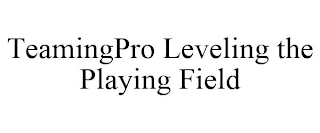 TEAMINGPRO LEVELING THE PLAYING FIELD
